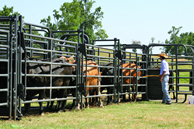 Rough Stock Sweep
