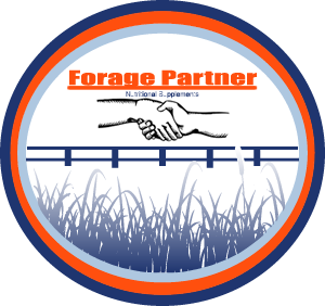 forage-partner-logo